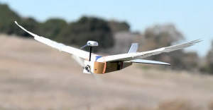 PigeonBot, o dronă care zboară la fel ca un porumbel