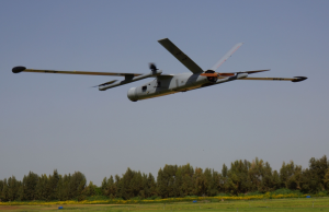 BlueBird are comandă din Europa pentru drone VTOL