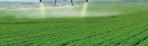 Drone agricole XAG și DJI disponibile la nivel global