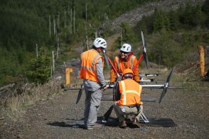 Replantarea arborilor în zonele despădurite, cu drone