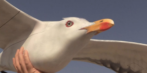 Supraveghere discretă și inedită cu drone-pasăre unice