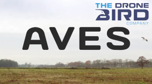 Drone Bird Company oferă servicii cu un caracter aparte