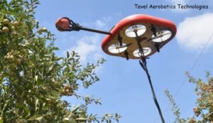 Proprietarii livezilor cu meri „au ajutor de la drone”